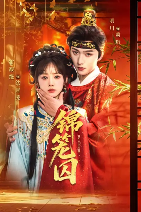 《锦笼囚》封面