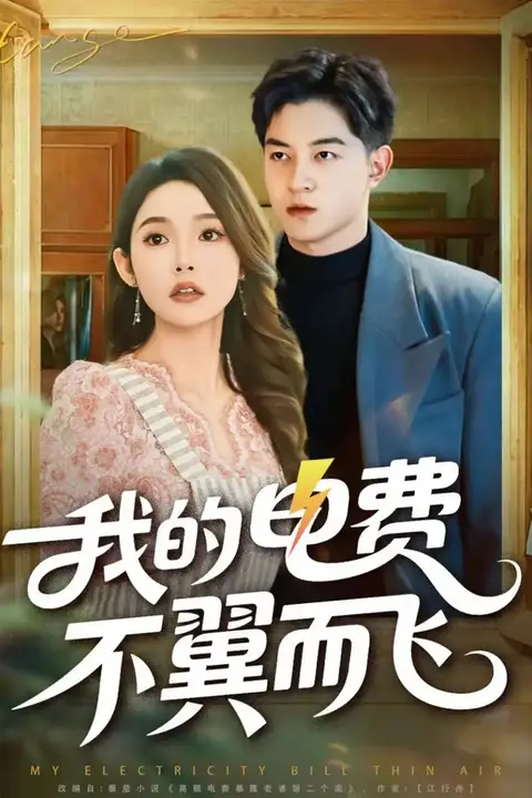《我的电费不翼而飞》封面