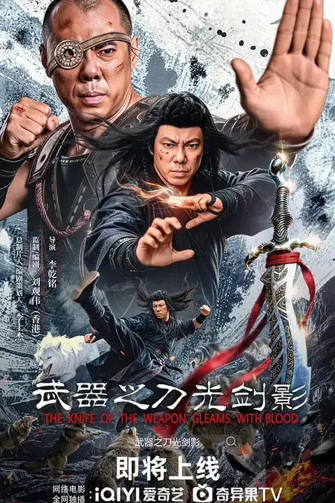 《武器之刀光剑影》封面