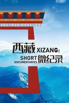 《西藏微纪录 第二季》封面
