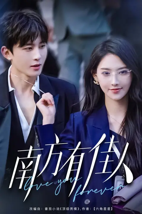 《南方有佳人》封面