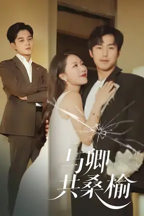 《与卿共桑榆》封面