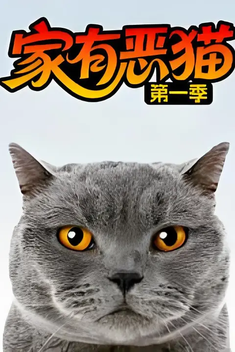 《家有恶猫 第一季》封面