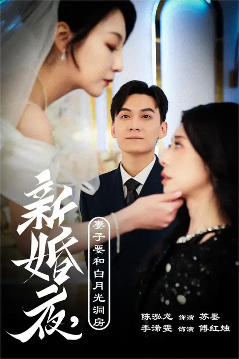 《新婚夜,妻子要和白月光洞房(礼尚往来)》封面