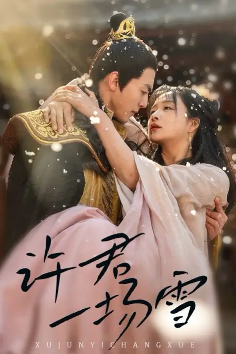 《许君一场雪》封面