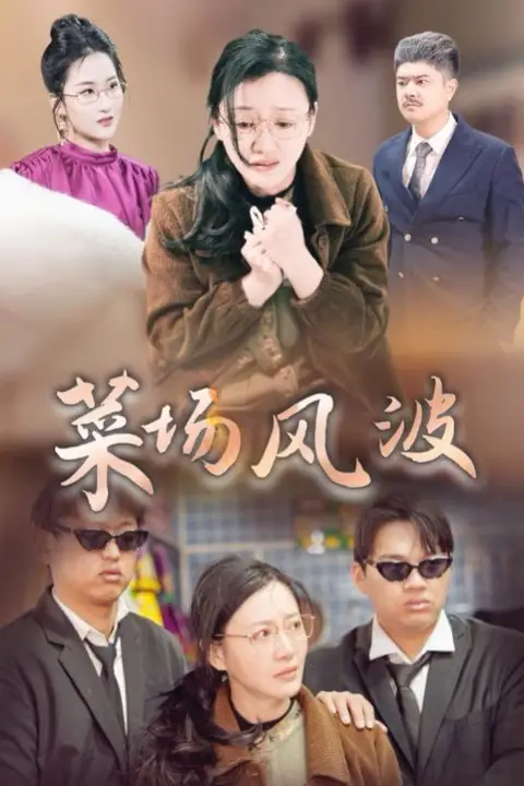 《菜场风波》封面