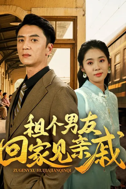 《租个男友回家见亲戚》封面