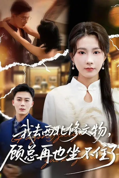 《我去西北修文物，顾总再也坐不住了》封面