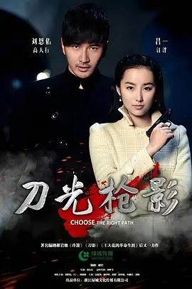 《刀光枪影》封面