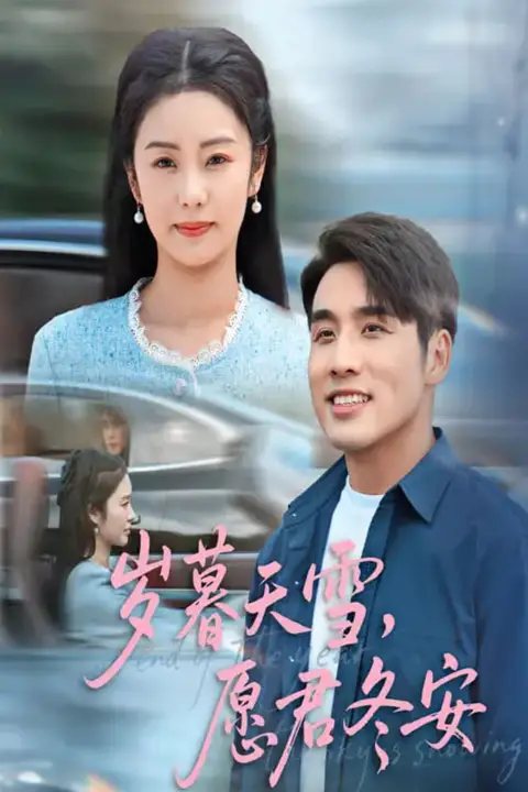 《岁暮天雪愿君冬安》封面