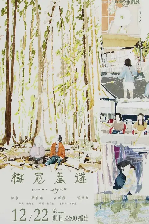 《树冠羞避》封面