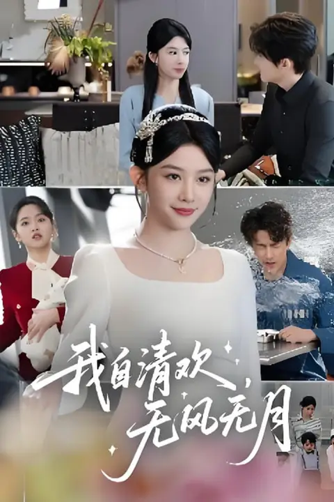 《我自清欢无风无月》封面