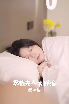 《总裁夫人不好追》封面
