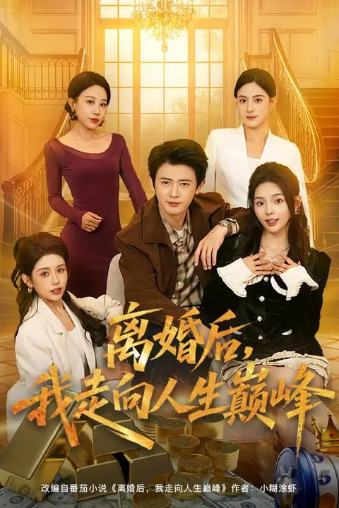 《离婚后,我走向人生巅峰》封面