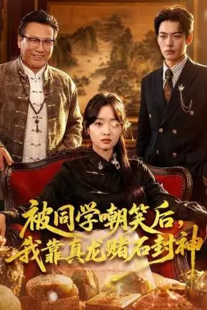 《被同学嘲笑后,我靠真龙赌石封神》封面