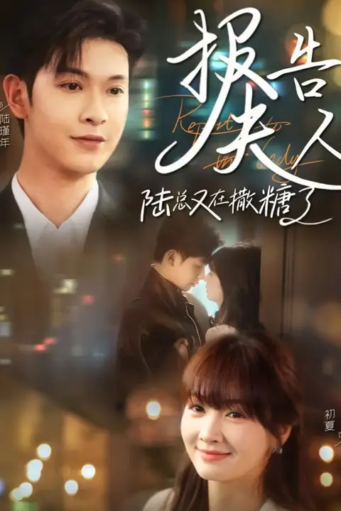 《报告夫人陆总又在撒糖了》封面