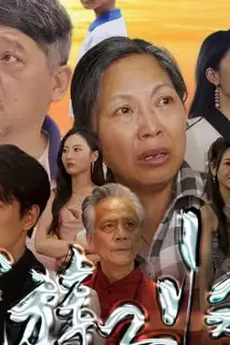 《游子归家》封面