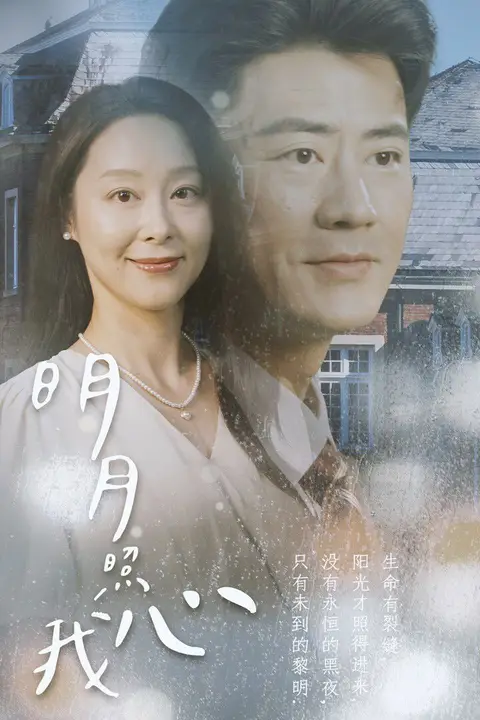 《新明月照我心》封面