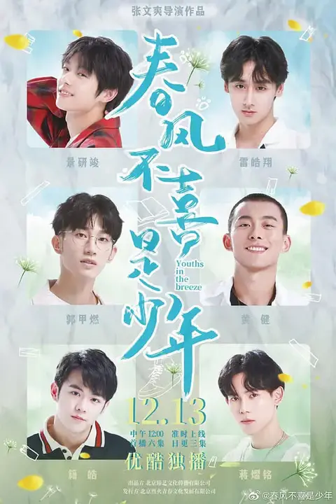 《春风不喜是少年》封面