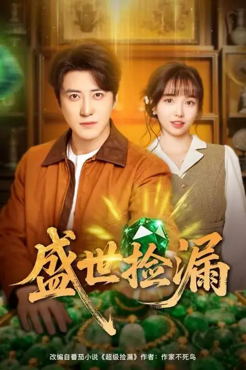 《盛世捡漏》封面
