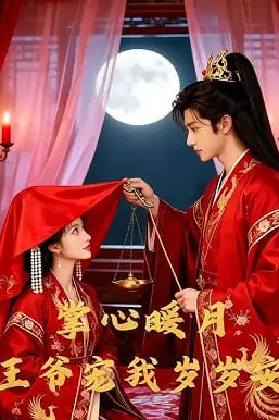 《掌心暖月，王爷宠我岁岁安》封面