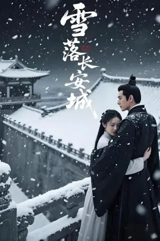 《雪落长安城》封面