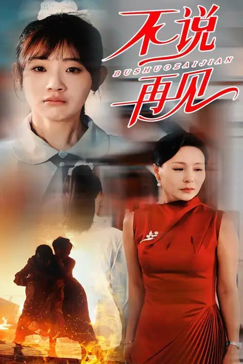 《不说再见》封面