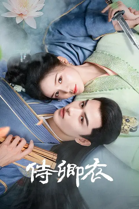 《侍卿衣》封面