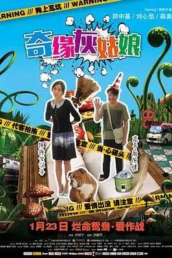 《奇缘灰姑娘》封面