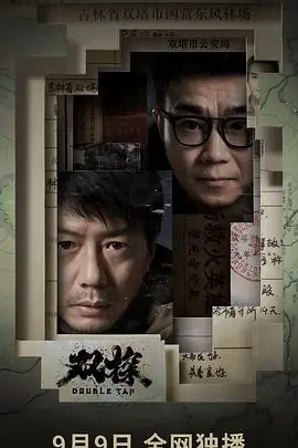 《双探》封面