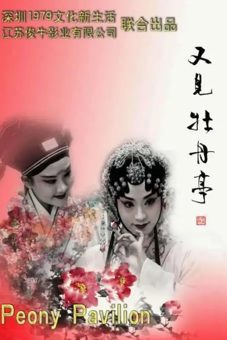《又见牡丹亭》封面
