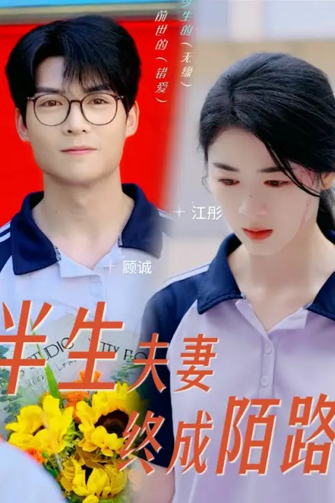《半生夫妻终成陌路》封面