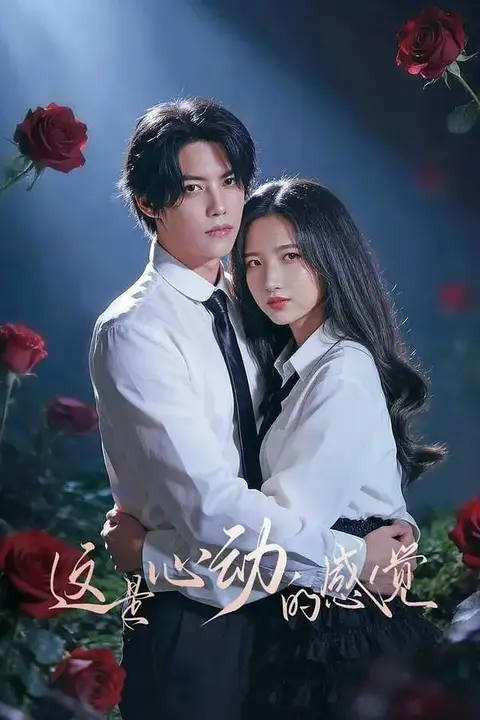 《这是心动的感觉》封面