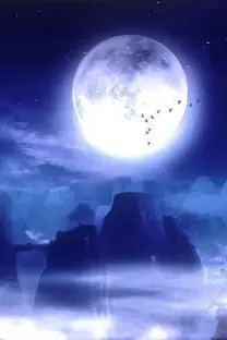 《天狼啸月》封面