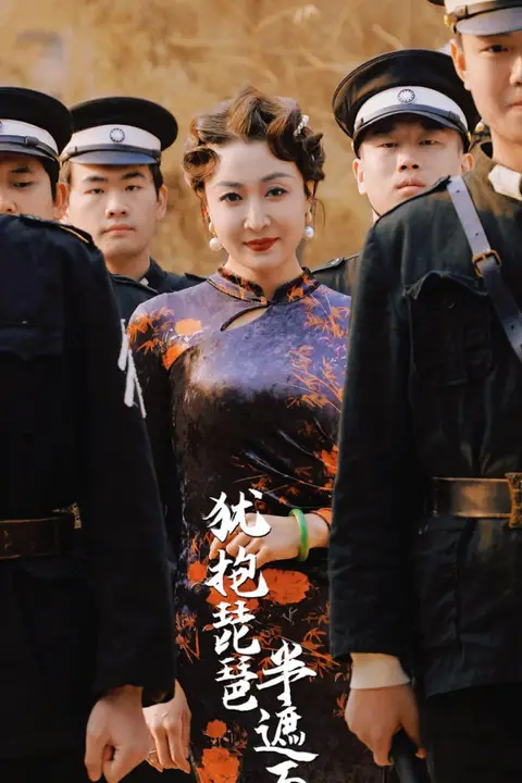 《犹抱琵琶半遮面》封面
