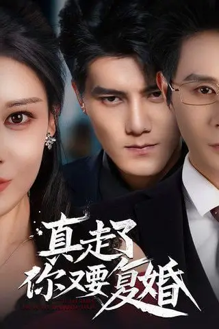 《真走了你又要复婚》封面