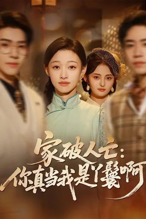 《家破人亡:你真当我是丫鬟啊》封面