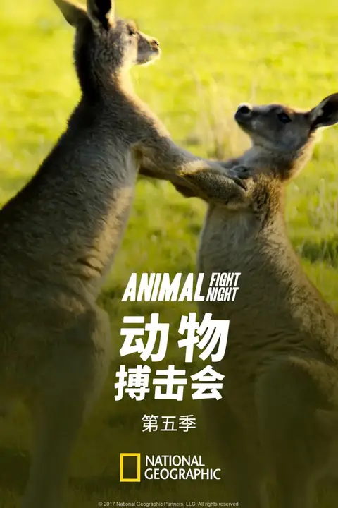 《动物搏击会 第五季》封面