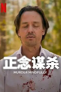 《正念谋杀》封面