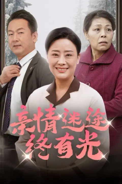 《亲情迷途终有光》封面
