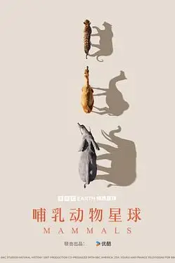 《哺乳动物星球》封面