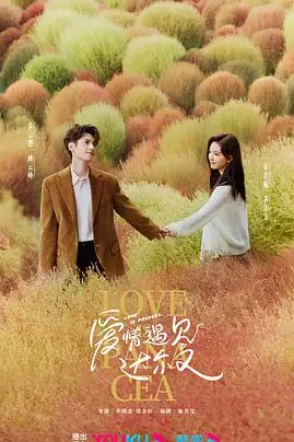 《治愈系恋人》封面