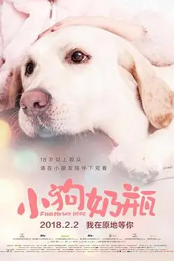 《小狗奶瓶》封面