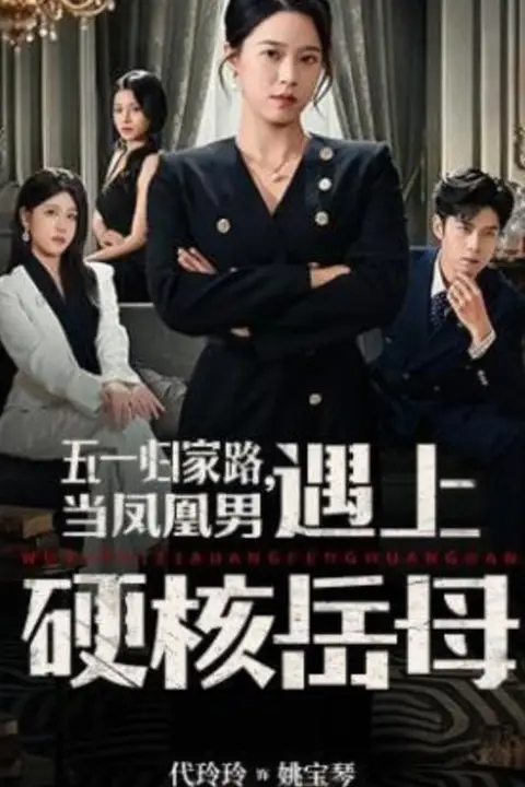 《五一归家路，当凤凰男遇上硬核岳母》封面