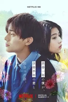 《余生一年的我，遇见了的余生半年的你的故事》封面