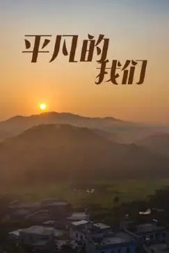 《平凡的我们》封面