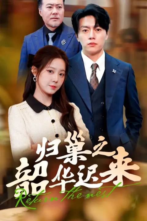 《归巢之韶华迟来》封面