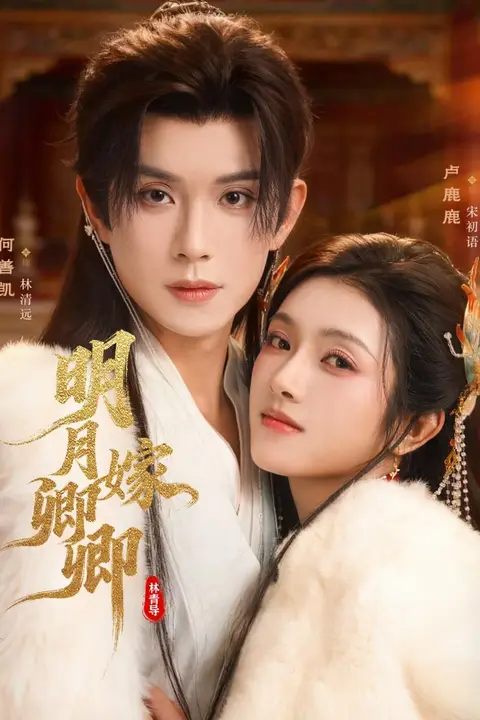 《明月嫁卿卿》封面