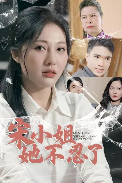 《宋小姐她不忍了》封面