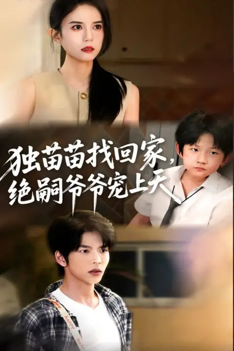 《独苗苗找回家绝嗣爷爷宠上天》封面